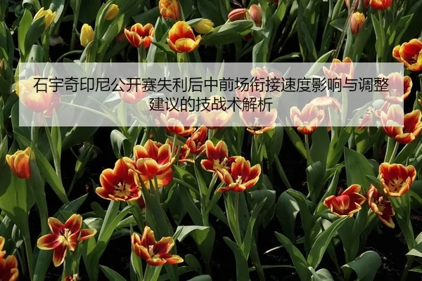 石宇奇印尼公开赛失利后中前场衔接速度影响与调整建议的技战术解析 | jiuyouhui