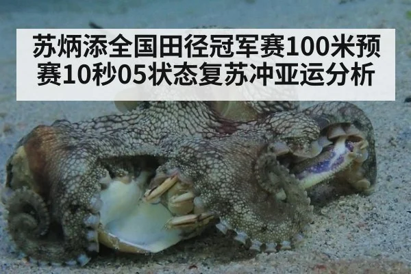 苏炳添全国田径冠军赛100米预赛10秒05状态复苏冲亚运分析