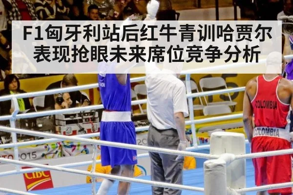 F1匈牙利站后红牛青训哈贾尔表现抢眼未来席位竞争分析