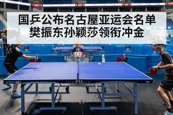 Sun Yingsha table tennis
